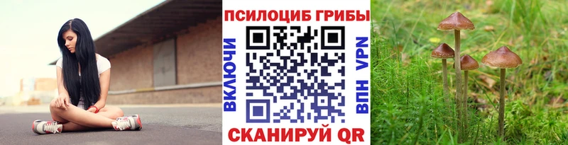 нарко площадка клад Можга Галлюциногенные грибы Magic Shrooms