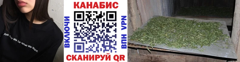 дарнет шоп  Можга  Шишки марихуана White Widow 